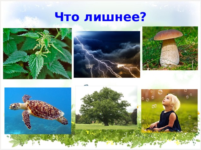 Что лишнее? 