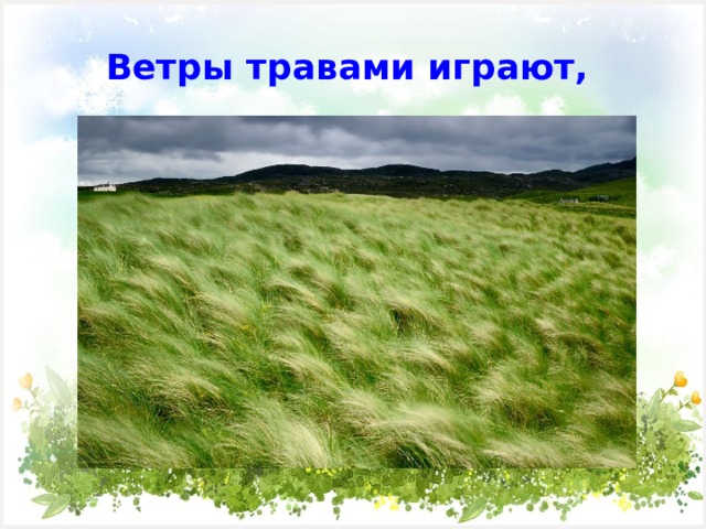  Ветры травами играют,   