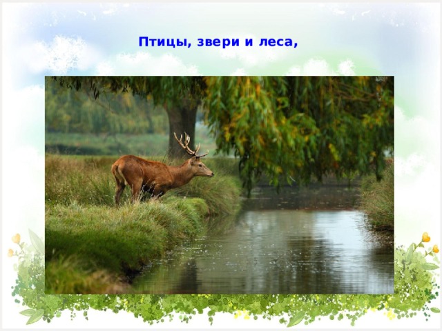  Птицы, звери и леса ,   
