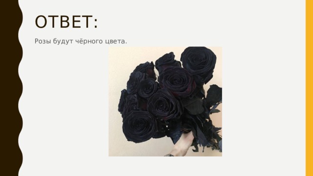 Ответ: Розы будут чёрного цвета. 