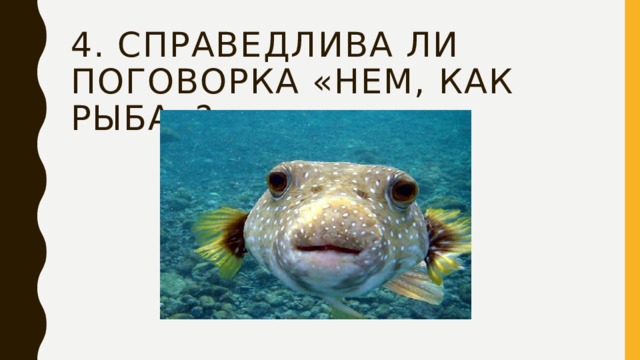 4. Справедлива ли поговорка «нем, как рыба»? 