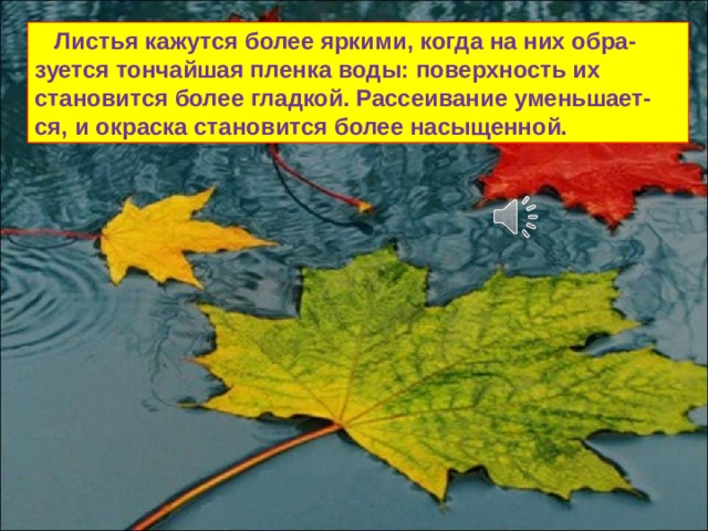 Почему изображение предметов получаемые при отражении их в воде кажутся менее яркими чем