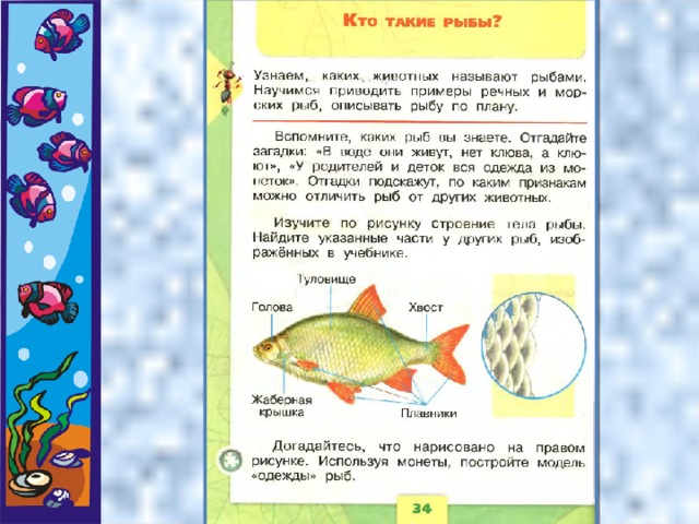 Презентация для детей на тему рыбы