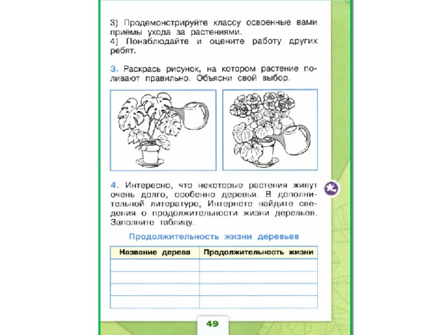 Как живут растения презентация 1 класс школа россии презентация