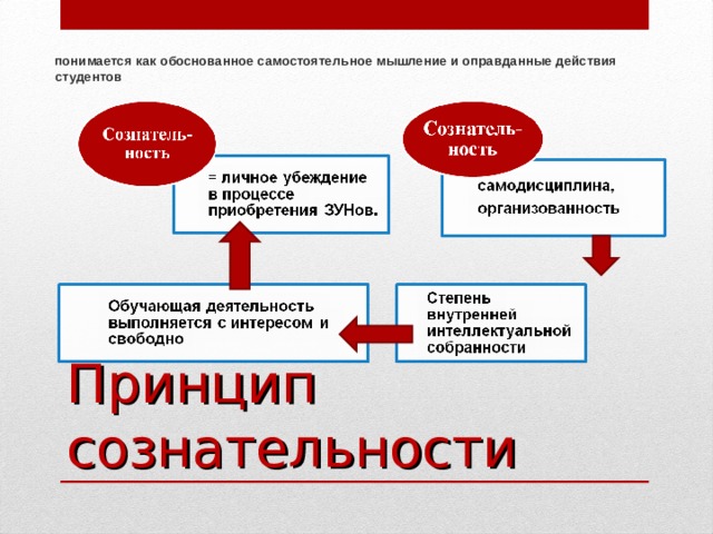  понимается как обоснованное самостоятельное мышление и оправданные действия студентов Принцип сознательности 