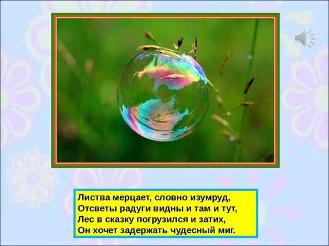 Органы барбариса и винограда обозначенные на рисунке вопросительным знаком