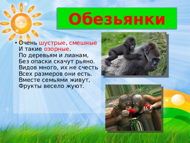 Обезьянки Очень шустрые , смешные  И такие озорные .  По деревьям и лианам,  Без опаски скачут рьяно.  Видов много, их не счесть  Всех размеров они есть.  Вместе семьями живут,  Фрукты весело жуют. 