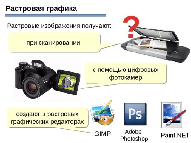 Растровая графика ? Растровые изображения получают: при сканировании с помощью цифровых фотокамер создают в растровых графических редакторах Adobe  Photoshop GIMP Paint.NET  