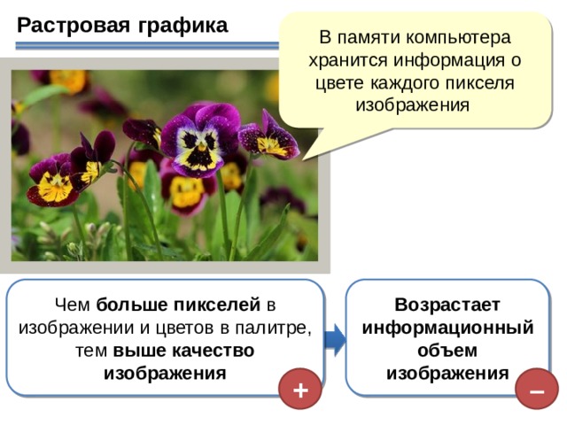 Растровая графика В памяти компьютера хранится информация о цвете каждого пикселя изображения Возрастает информационный объем изображения Чем больше пикселей в изображении и цветов в палитре, тем выше качество изображения –  +   