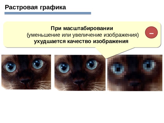 Растровая графика При масштабировании  (уменьшение или увеличение изображения) ухудшается качество изображения –   