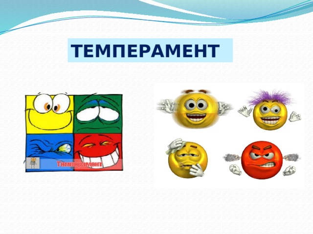 ТЕМПЕРАМЕНТ 