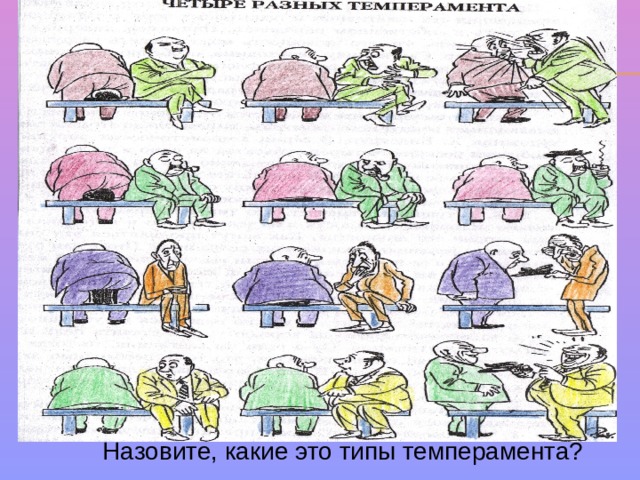 Назовите, какие это типы темперамента? 