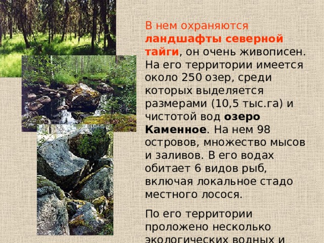 В нем охраняются ландшафты северной тайги , он очень живописен. На его территории имеется около 250 озер, среди которых выделяется размерами (10,5 тыс.га) и чистотой вод озеро Каменное . На нем 98 островов, множество мысов и заливов. В его водах обитает 6 видов рыб, включая локальное стадо местного лосося. По его территории проложено несколько экологических водных и сухопутных туристских маршрутов. 