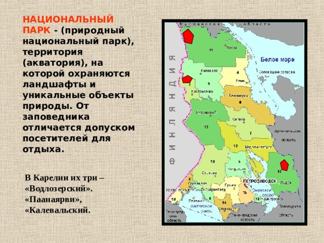 НАЦИОНАЛЬНЫЙ ПАРК - (природный национальный парк), территория (акватория), на которой охраняются ландшафты и уникальные объекты природы. От заповедника отличается допуском посетителей для отдыха.  В Карелии их три – «Водлозерский». «Паанаярви», «Калевальский. 