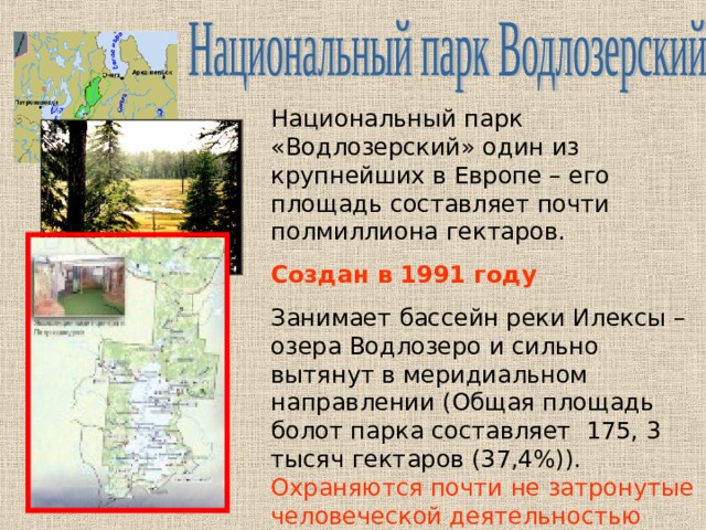 Национальный парк «Водлозерский» один из крупнейших в Европе – его площадь составляет почти полмиллиона гектаров. Создан в 1991 году Занимает бассейн реки Илексы – озера Водлозеро и сильно вытянут в меридиальном направлении (Общая площадь болот парка составляет 175, 3 тысяч гектаров (37,4%)). Охраняются почти не затронутые человеческой деятельностью лесоболотные комплексы средней тайги.  