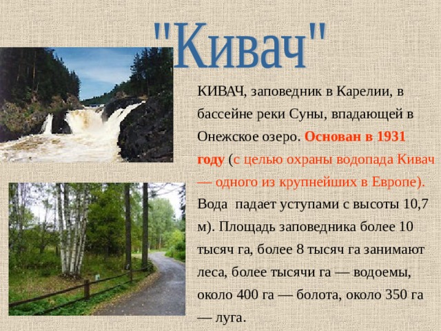КИВАЧ, заповедник в Карелии, в бассейне реки Суны, впадающей в Онежское озеро. Основан в 1931 году ( с целью охраны водопада Кивач — одного из крупнейших в Европе). Вода падает уступами с высоты 10,7 м). Площадь заповедника более 10 тысяч га, более 8 тысяч га занимают леса, более тысячи га — водоемы, около 400 га — болота, около 350 га — луга. 