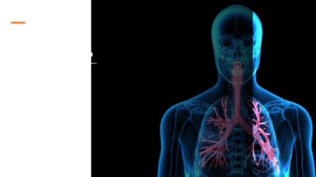 Дыхательная система человека     Открытый урок Подготовила Анохина О.А. Учитель биологии 