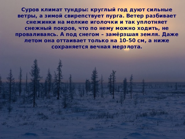 Тундра природная зона россии климат