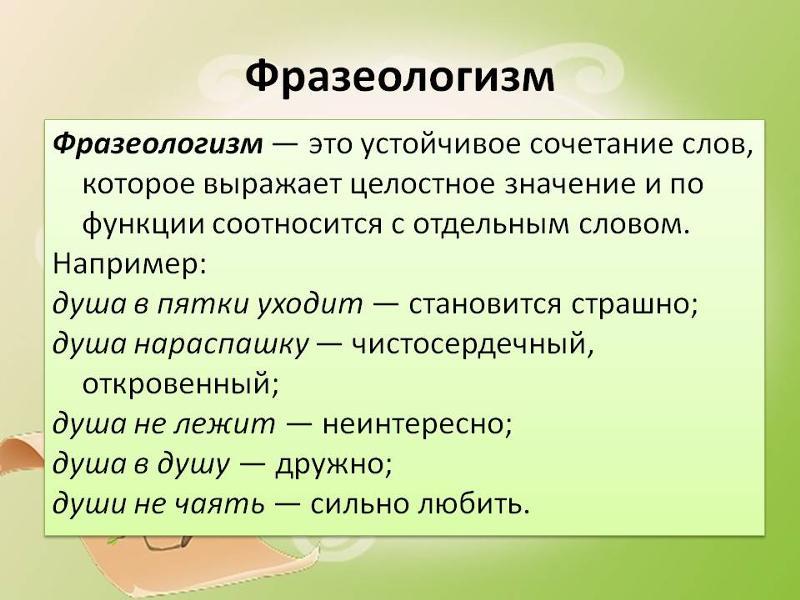 Целостная картина синоним