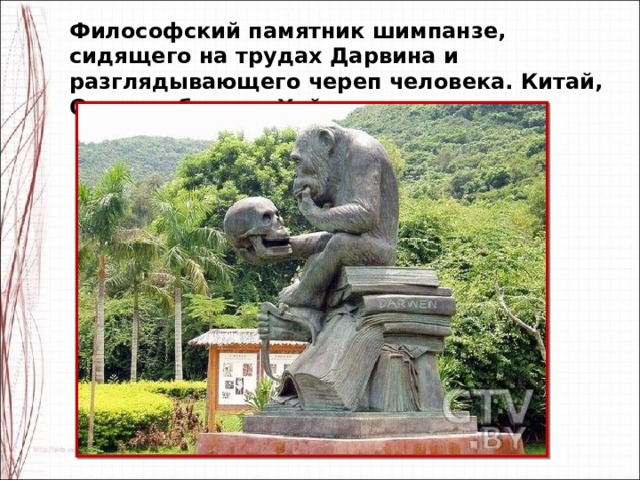 Философский памятник шимпанзе, сидящего на трудах Дарвина и разглядывающего череп человека. Китай, Остров обезьян, Хайнянь. 
