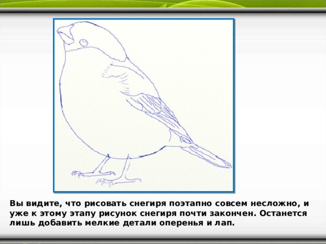 По координатам нарисовать снегиря