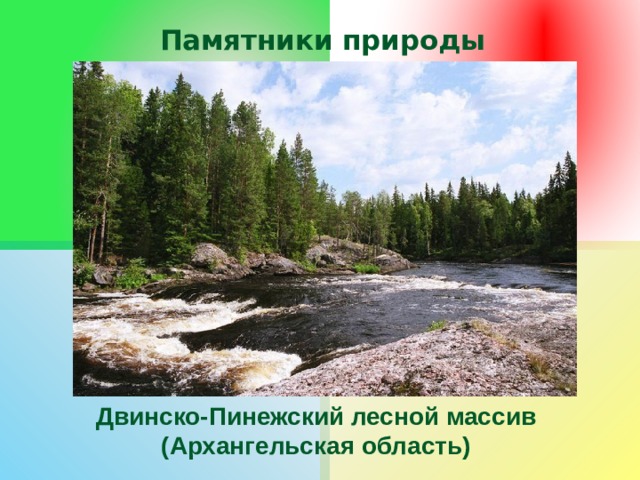 Памятники природы Двинско-Пинежский лесной массив (Архангельская область) 