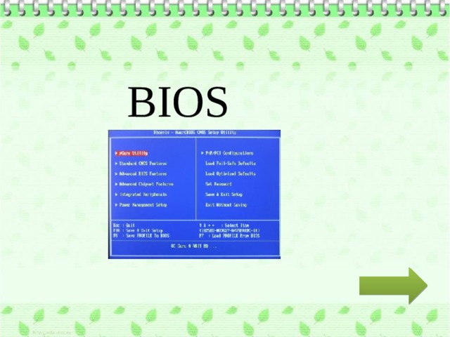 BIOS 