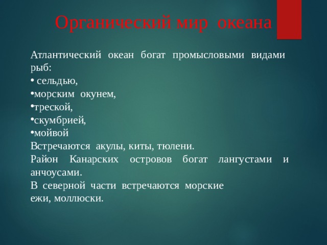 Органический мир океана Атлантический океан богат промысловыми видами рыб:  сельдью, морским окунем, треской, скумбрией, мойвой Встречаются акулы, киты, тюлени. Район Канарских островов богат лангустами и анчоусами. В северной части встречаются морские ежи, моллюски. 