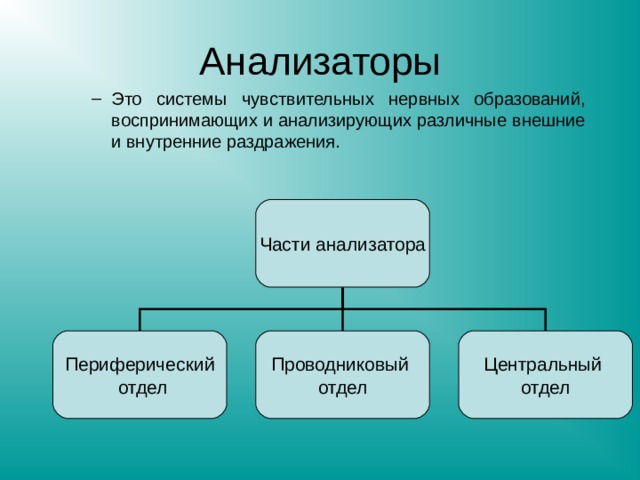 Анализаторы Это системы чувствительных нервных образований, воспринимающих и анализирующих различные внешние и внутренние раздражения. Это системы чувствительных нервных образований, воспринимающих и анализирующих различные внешние и внутренние раздражения. Части анализатора Периферический  отдел Проводниковый отдел Центральный отдел 
