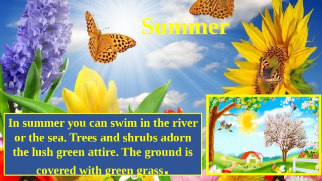 Summer In summer you can swim in the river or the sea. Trees and shrubs adorn the lush green attire. The ground is covered with green grass . 