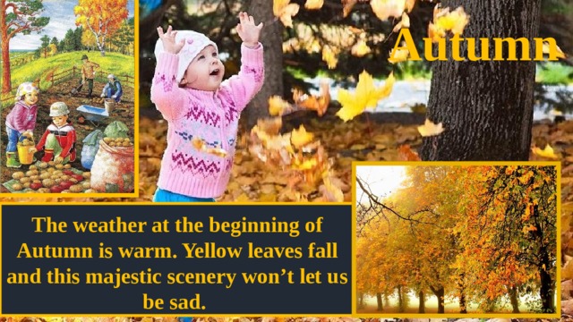 Autumn The weather at the beginning of Autumn is warm. Yellow leaves fall and this majestic scenery won’t let us be sad. 
