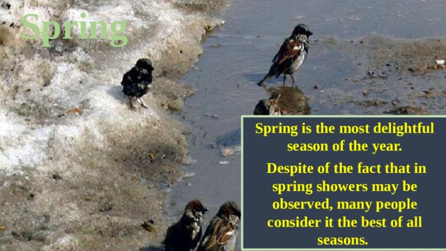Spring Spring is the most delightful season of the year.  Despite of the fact that in spring showers may be observed, many people consider it the best of all seasons. 