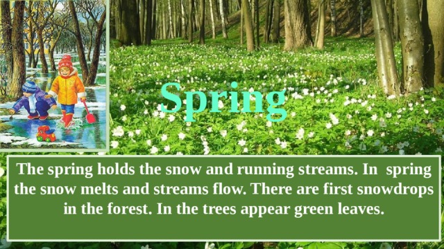 Spring The spring holds the snow and running streams. In spring the snow melts and streams flow. There are first snowdrops in the forest. In the trees appear green leaves. 