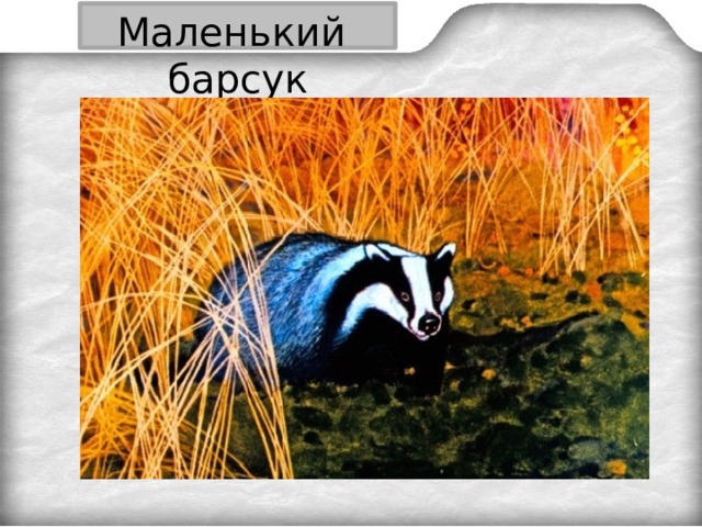 Паустовский барсучий нос читать полностью весь текст с картинками бесплатно
