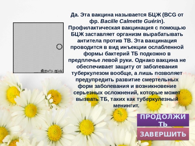 Да. Эта вакцина называется БЦЖ (BCG от фр. Bacille Calmette Guérin ). Профилактическая вакцинация с помощью БЦЖ заставляет организм вырабатывать антитела против TB. Эта вакцинация проводится в вид инъекции ослабленной формы бактерий ТБ подкожно в предплечье левой руки. Однако вакцина не обеспечивает защиту от заболевания туберкулезом вообще, а лишь позволяет предупредить развитие смертельных форм заболевания и возникновение серьезных осложнений, которые может вызвать ТБ, таких как туберкулезный менингит. ПРОДОЛЖИТЬ ЗАВЕРШИТЬ 