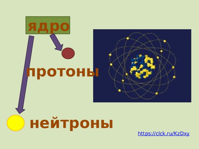 ядро протоны Как вы заметили, ядро атома состоит из большого числа частиц. Кроме того, на рисунке одни частицы желтого цвета, а другие – синего. Это потому, что ядро имеет сложное строение и состоит из двух видов частиц-протонов и нейтронов. Протоны положительно заряжены, а нейтроны не имеют заряда. нейтроны https://clck.ru/KzDxy  