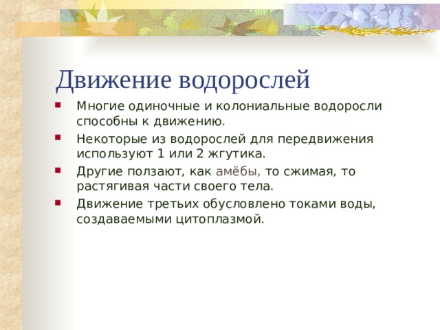 Движение водорослей Многие одиночные и колониальные водоросли способны к движению. Некоторые из водорослей для передвижения используют 1 или 2 жгутика. Другие ползают, как амёбы, то сжимая, то растягивая части своего тела. Движение третьих обусловлено токами воды, создаваемыми цитоплазмой.  