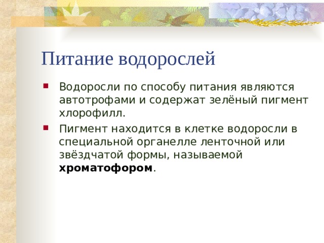 Питание водорослей Водоросли по способу питания являются автотрофами и содержат зелёный пигмент хлорофилл. Пигмент находится в клетке водоросли в специальной органелле ленточной или звёздчатой формы, называемой хроматофором .  