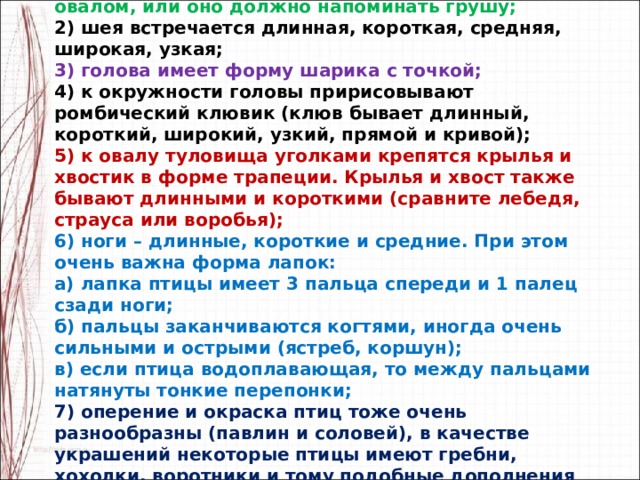  Как рисуют птиц: 1) туловище птицы изображают окружностью или овалом, или оно должно напоминать грушу; 2) шея встречается длинная, короткая, средняя, широкая, узкая; 3) голова имеет форму шарика с точкой; 4) к окружности головы пририсовывают ромбический клювик (клюв бывает длинный, короткий, широкий, узкий, прямой и кривой); 5) к овалу туловища уголками крепятся крылья и хвостик в форме трапеции. Крылья и хвост также бывают длинными и короткими (сравните лебедя, страуса или воробья); 6) ноги – длинные, короткие и средние. При этом очень важна форма лапок: а) лапка птицы имеет 3 пальца спереди и 1 палец сзади ноги; б) пальцы заканчиваются когтями, иногда очень сильными и острыми (ястреб, коршун); в) если птица водоплавающая, то между пальцами натянуты тонкие перепонки; 7) оперение и окраска птиц тоже очень разнообразны (павлин и соловей), в качестве украшений некоторые птицы имеют гребни, хохолки, воротники и тому подобные дополнения (удод, попугай, какаду, индюк). 
