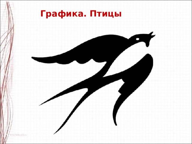 Графика. Птицы 