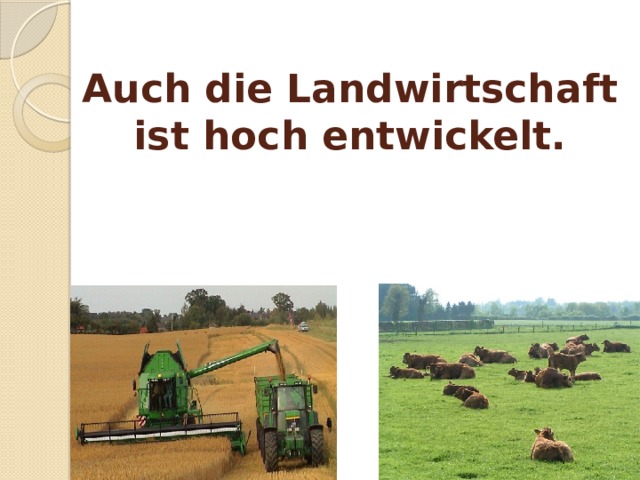 Auch die Landwirtschaft ist hoch entwickelt. 