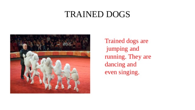 TRAINED DOGS Trained dogs are  jumping and running. They are dancing and even singing. 