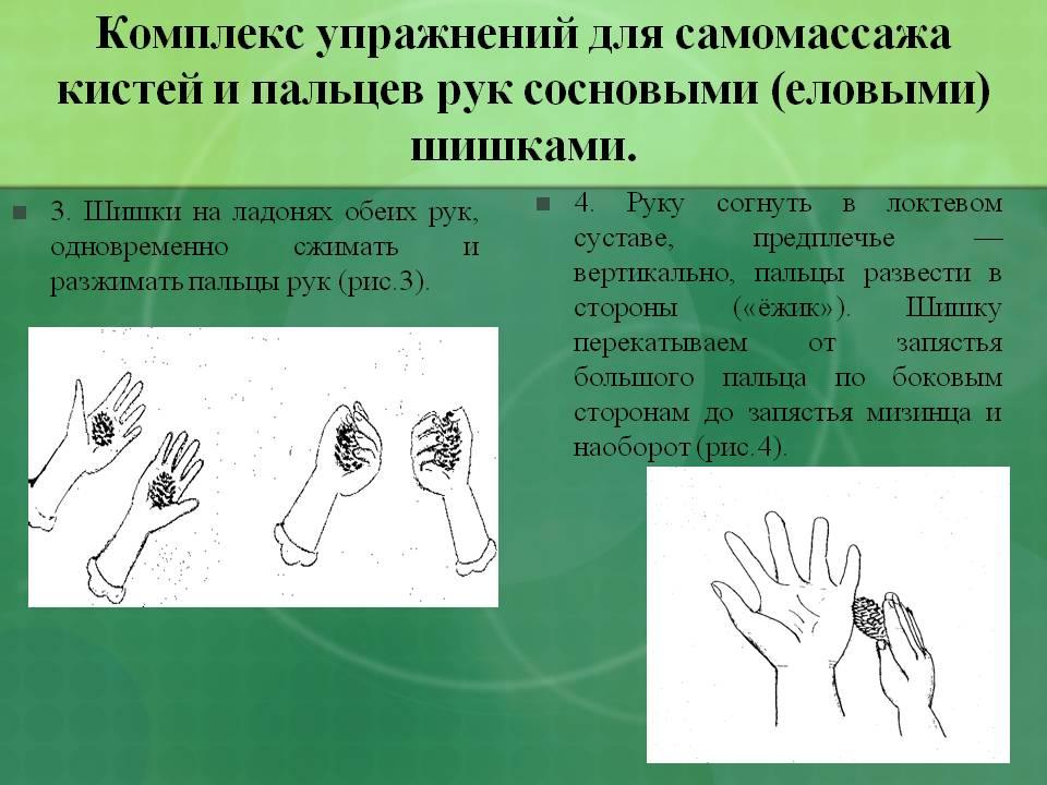 Рук 5 3. Комплекс для самомассажа кистей и пальцев рук сосновыми шишками. Пальчиковые игры с шишками для детей. Самомассаж кистей и пальцев рук для дошкольников. Комплекс упражнений самомассажа кистей и пальцев рук..