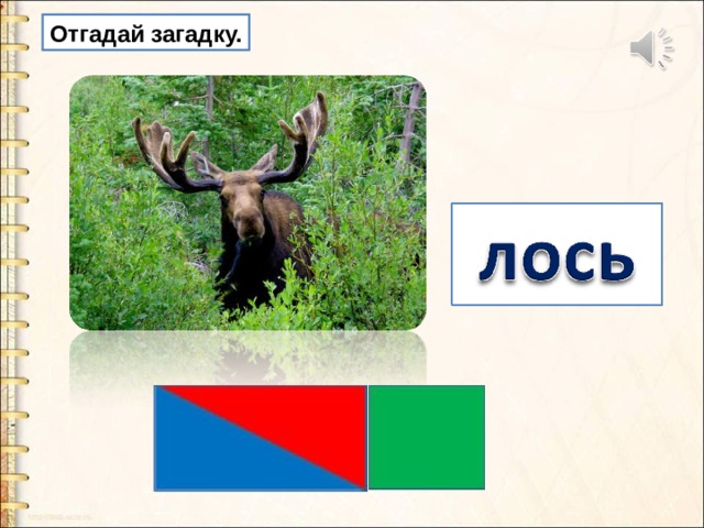 Отгадай загадку. Трав копытами касаясь,  Ходит по лесу красавец,  Ходит смело и легко,  Рога раскинув широко. 