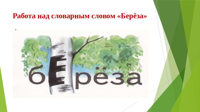 Береза лексическое. Словаонон слово бер. Словарное слово береза в картинках.