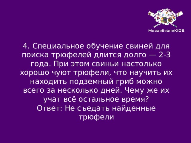 4.  Специальное обучение свиней для поиска трюфелей длится долго — 2-3 года. При этом свиньи настолько хорошо чуют трюфели, что научить их находить подземный гриб можно всего за несколько дней. Чему же их учат всё остальное время? Ответ: Не съедать найденные трюфели 