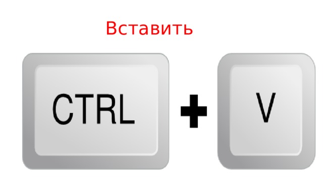  Вставить 