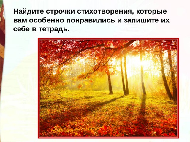 Найдите строчки стихотворения, которые вам особенно понравились и запишите их себе в тетрадь. 