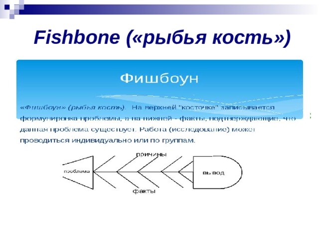 Fishbone («рыбья кость»)   Для чего создают  зоопарки? Исчезновение Сохранение, знакомство с животными 