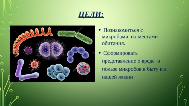 Цели:  Познакомиться с микробами, их местами обитания.  Сформировать представление о вреде и пользе микробов в быту и в нашей жизни  